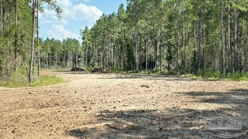 Lot 89 Posie Forest Rd, Milton, FL, 32570 | Card Image