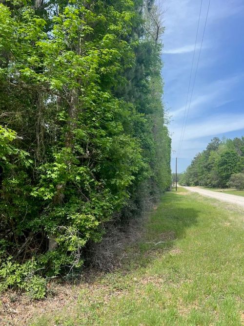 0 Cowan Ln, Livingston, TX, 77351 | Card Image