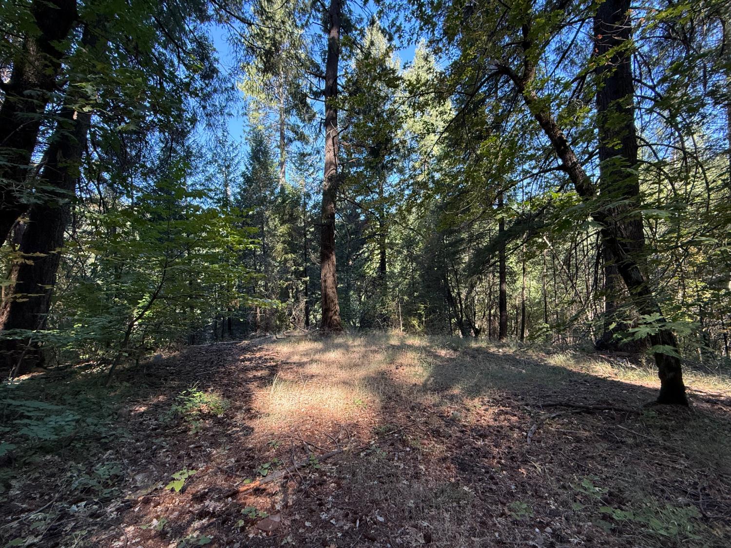 Land in Emigrant Gap 2