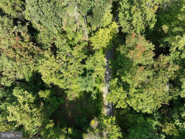 Lot 3 Price Ridge Rd, Home with 0 bedrooms, 0 bathrooms and null parking in STANLEY VA | Image 7
