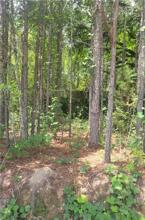 01 O. B. Brown Road, Auburn, AL, 36830 | Card Image