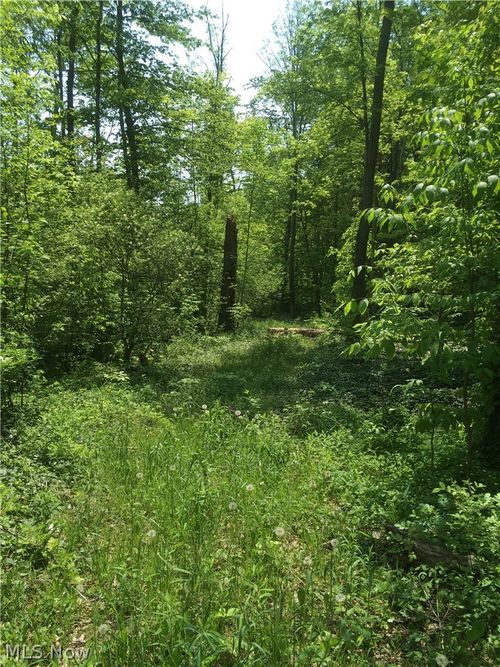 0 Fowlers Mill Rd, Chardon, OH, 44024 | Card Image
