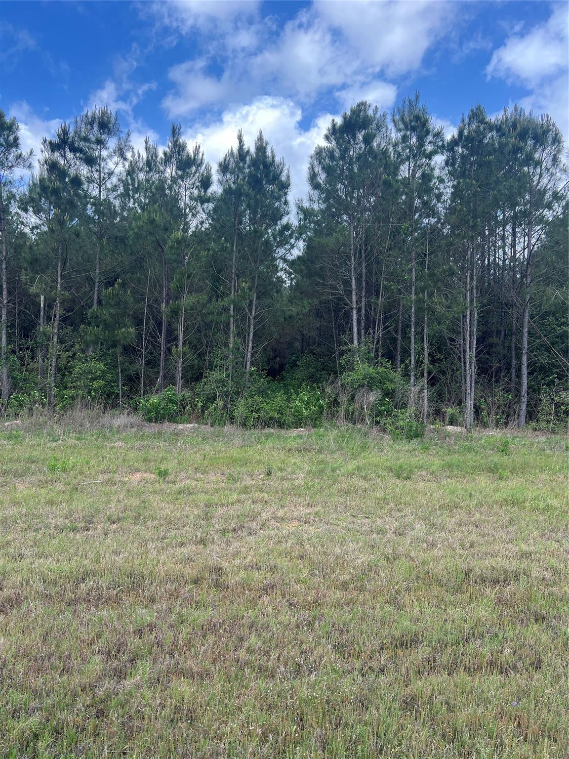 Land in Willis 3