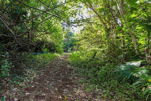 2-6828-B Kuamoo Rd, KAPAA, HI, 96746 | Card Image