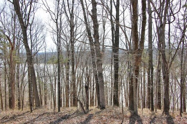 Lots 26 &amp; 27 Cherokee Road, Home with 0 bedrooms, 0 bathrooms and null parking in Lucas KY | Image 7