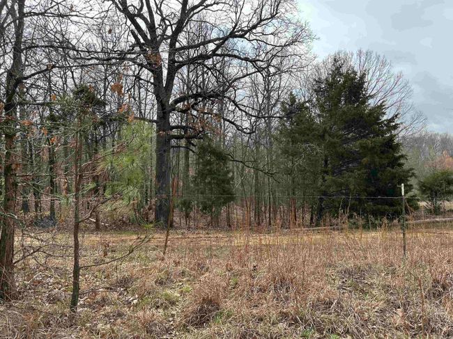 Lot 2 Raby Road, Home with 0 bedrooms, 0 bathrooms and null parking in Harrisburg AR | Image 8