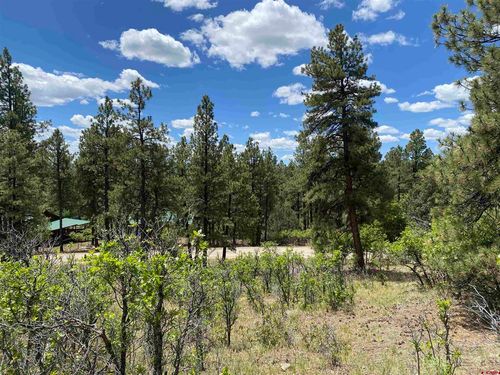 124 Granada Dr, Pagosa Springs, CO, 81147-8581 | Card Image
