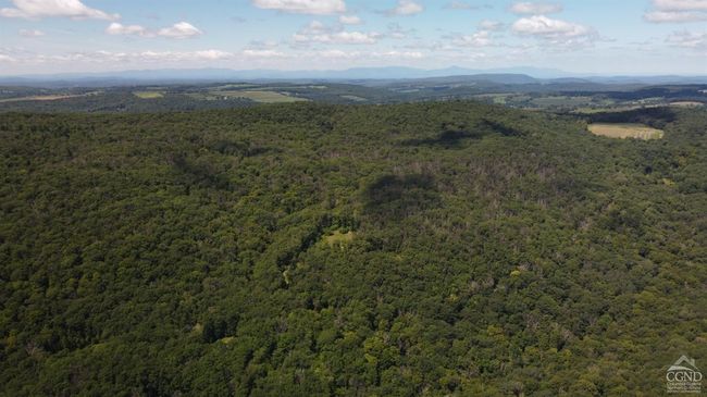 0 Cascade Mountain Rd, Home with 0 bedrooms, 0 bathrooms and null parking in Amenia NY | Image 18