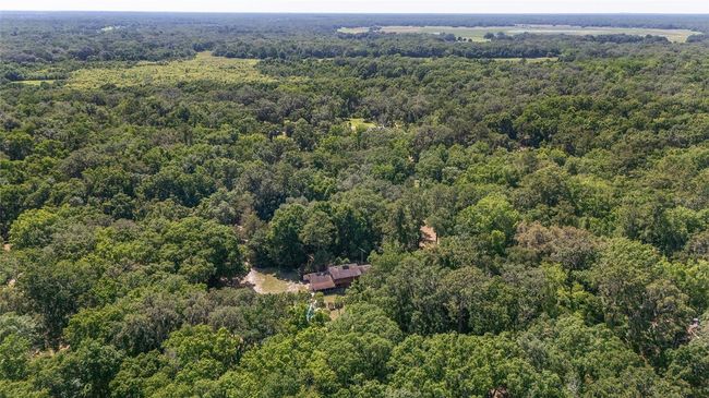 13207 Sw Williston Rd, House other with 3 bedrooms, 2 bathrooms and null parking in MICANOPY FL | Image 41