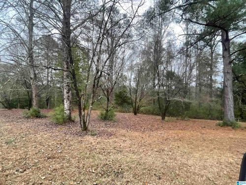 0-0 Friendship Cir, CLANTON, AL, 35045 | Card Image