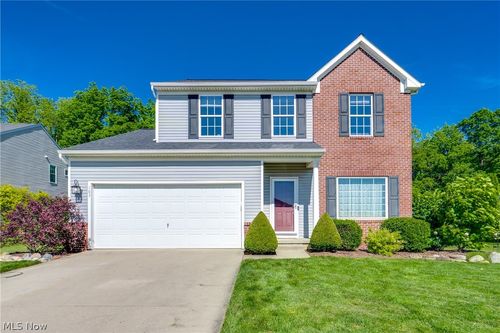 163 Newton Dr, Wadsworth, OH, 44281-8369 | Card Image