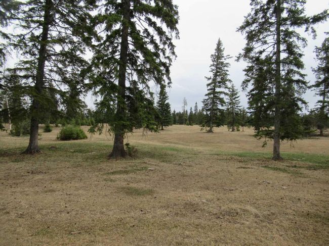 365018 - Range Road 6 3, Home with 3 bedrooms, 2 bathrooms and null parking in Rural Clearwater County AB | Image 43
