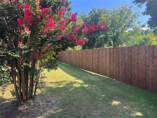 View of yard | Image 30
