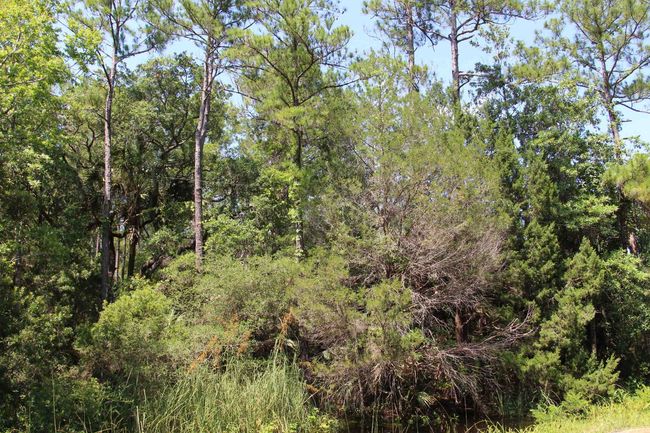 1 Hobbs Way, Home with 0 bedrooms, 0 bathrooms and null parking in ST MARKS FL | Image 4