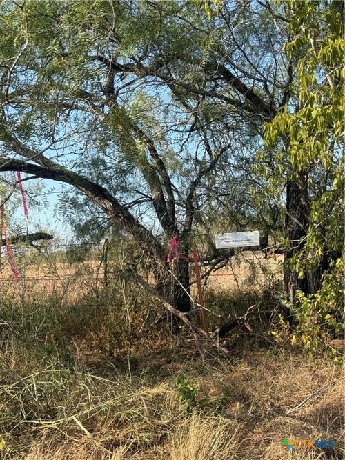 5913 Fm 1681-Tract 1, Stockdale, TX, 78160 | Card Image