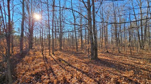 1621 Baker Rd Ne, Kalkaska, MI, 49646-8641 | Card Image