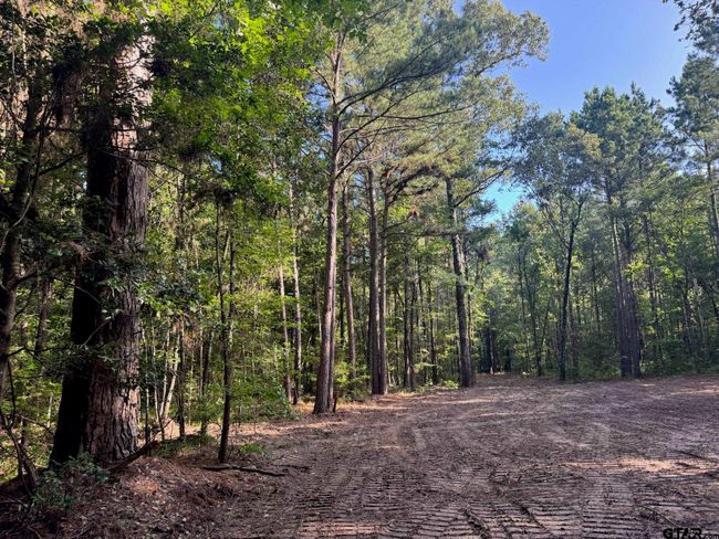 Tract 3B Cr 2322, Home with 0 bedrooms, 0 bathrooms and null parking in Rusk TX | Image 5