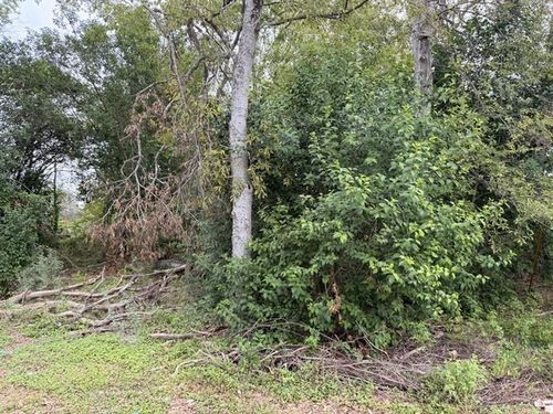 331 Bundy, San Antonio, TX, 78220-2301 | Card Image