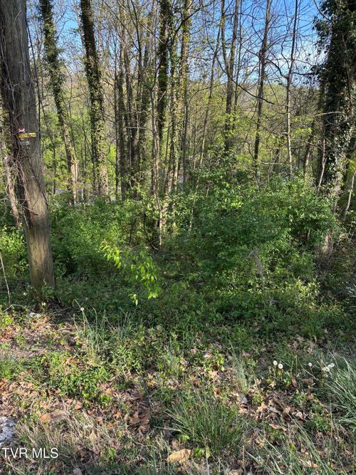Lot 16 Ashley St, Kingsport, TN, 37664 | Card Image
