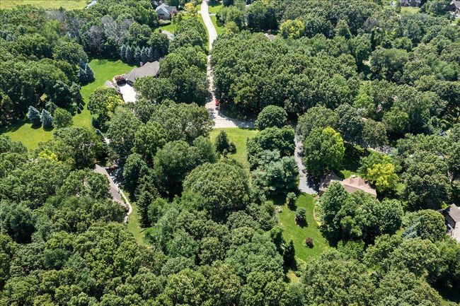 Cobblestone Walking Trails and Wildlife | Image 6