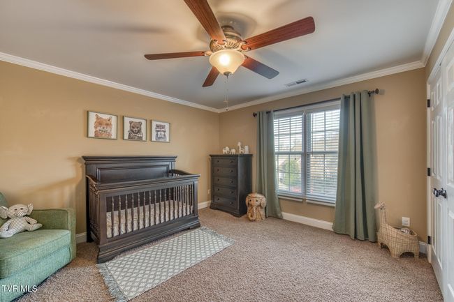 3 Chestnut Ridge Ct, House other with 5 bedrooms, 4 bathrooms and null parking in Jonesborough TN | Image 53