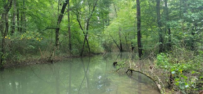 61243 Stone Cave Loop, Home with 0 bedrooms, 0 bathrooms and null parking in Dunlap TN | Image 42