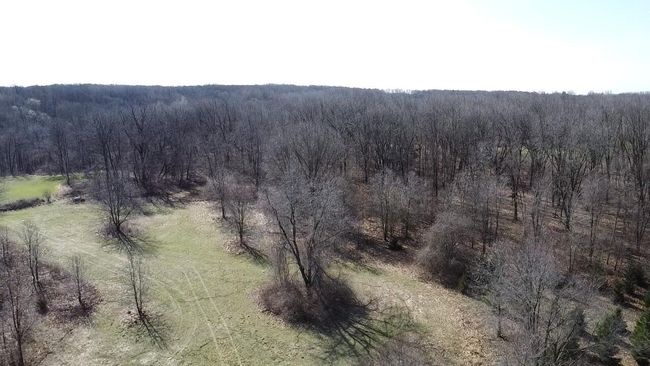 12100 Woodland Trl, Home with 0 bedrooms, 0 bathrooms and null parking in Davisburg MI | Image 9