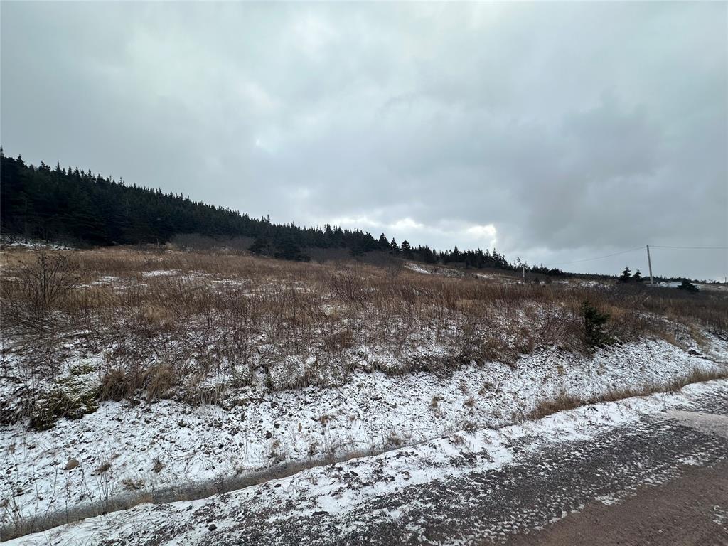 Land in Branch 2