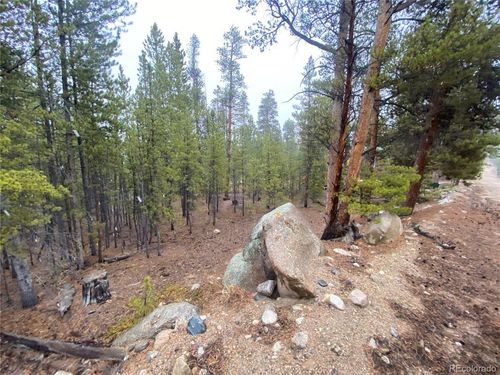 143 Juniper Dr, Twin Lakes, CO, 81251-8902 | Card Image