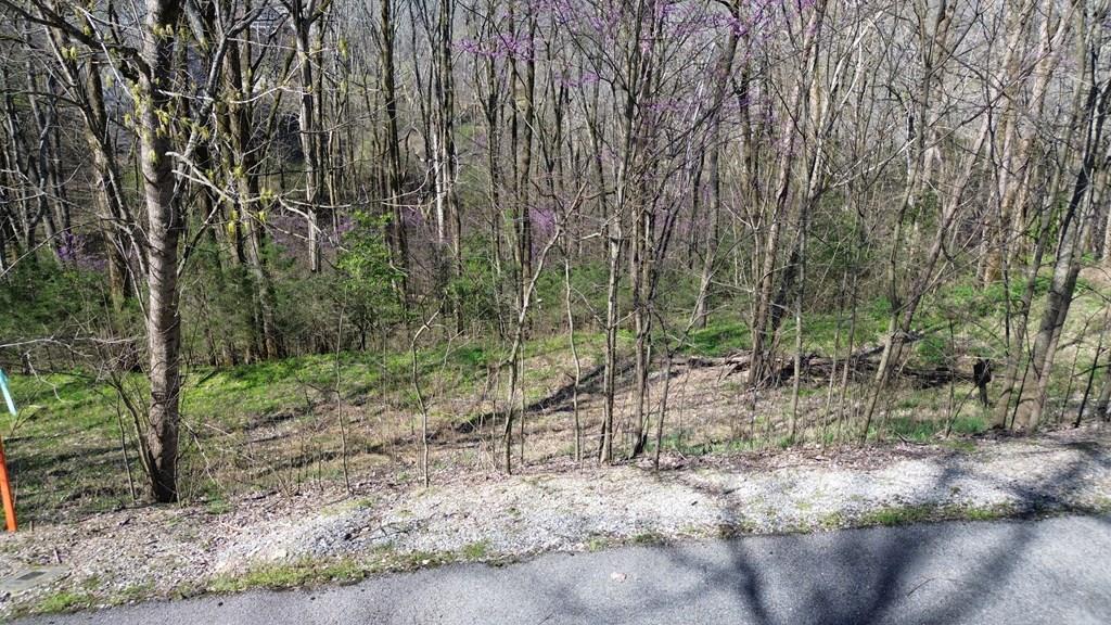 Land in Smithville 2