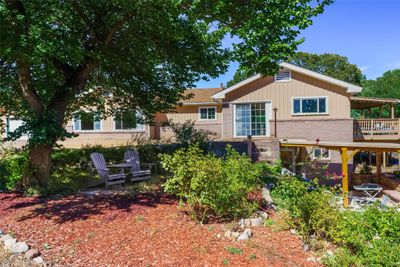 Front View - Relax under your apricot tree. | Image 2