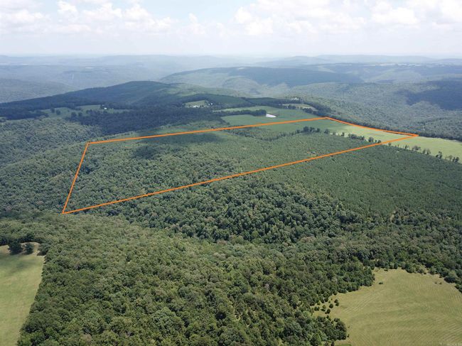 00 Calico Rd, Home with 0 bedrooms, 0 bathrooms and null parking in Clinton AR | Image 5