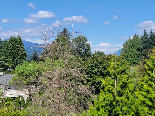 322-12085 228 St, Maple Ridge, BC, V2X6M2 | Card Image