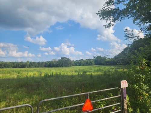 0 Mount Zion Rd, Big Sandy, TN, 38221 | Card Image