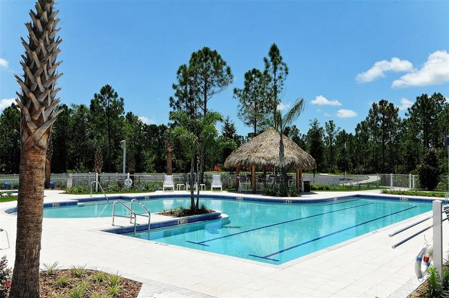 21205 Holmes Cir, House other with 4 bedrooms, 3 bathrooms and null parking in Venice FL | Image 54