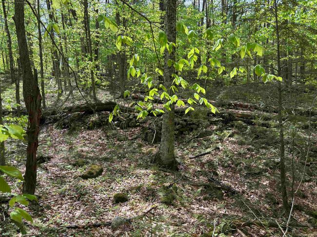 0 Snell Rd, Home with 0 bedrooms, 0 bathrooms and null parking in Chester VT | Image 12