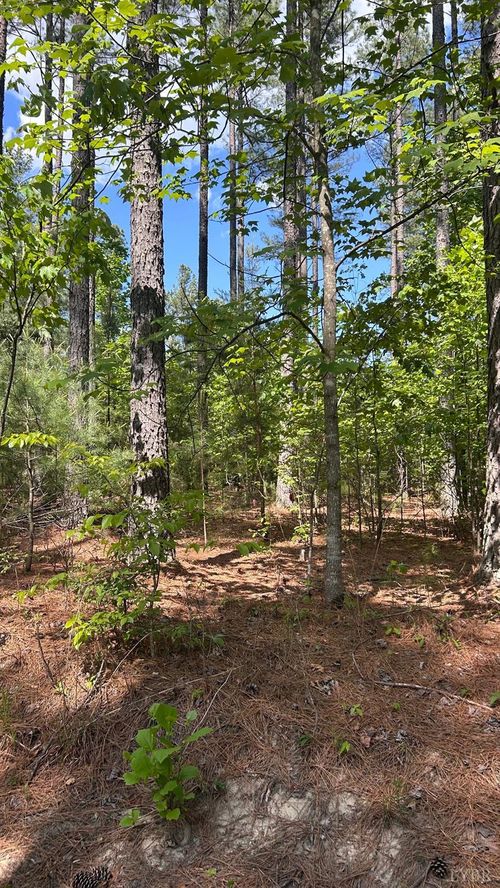 2 Foxfire Lane, Bedford, VA, 24523 | Card Image