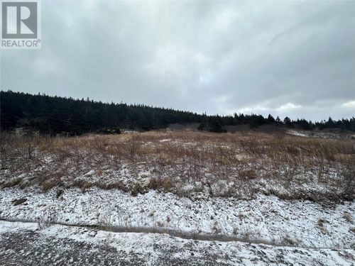 6B Top Road, Branch, NL, A0B1E0 | Card Image