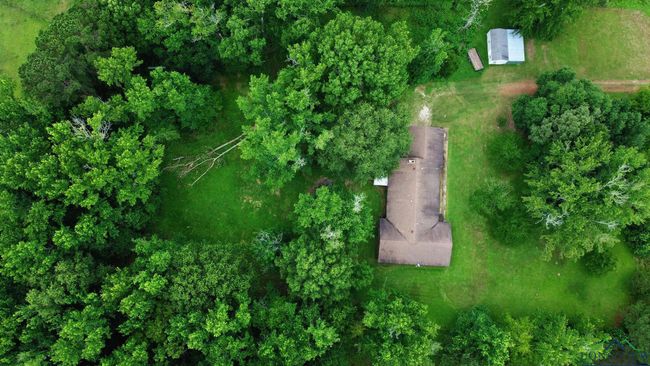 8103 Us Highway 259 N, House other with 4 bedrooms, 3 bathrooms and null parking in Omaha TX | Image 49