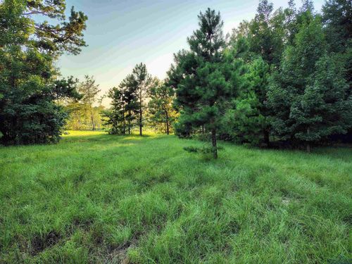 9751 Ocelot Rd, Gilmer, TX, 75644-4112 | Card Image
