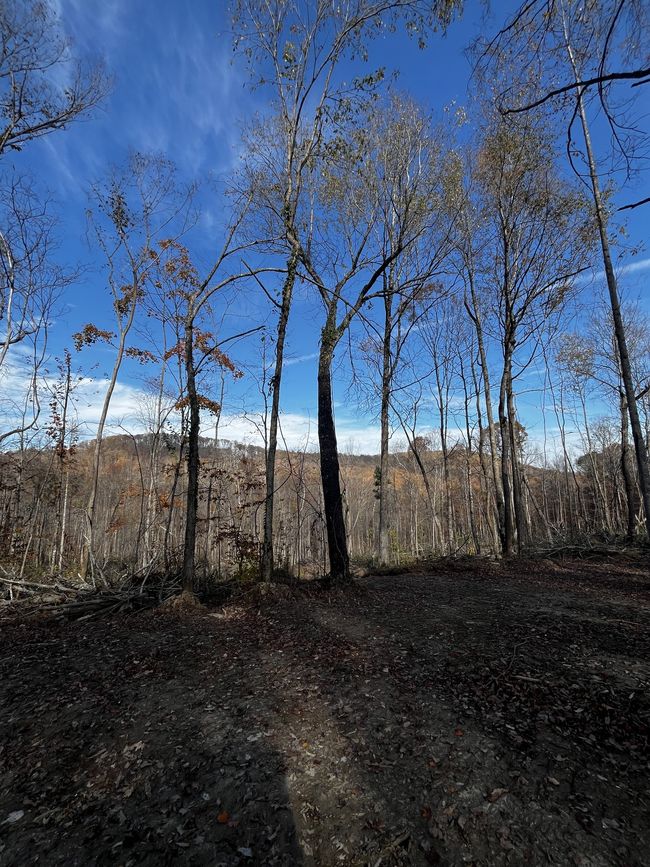0 Northcutts Cove Rd, Home with 0 bedrooms, 0 bathrooms and null parking in Beersheba Springs TN | Image 17