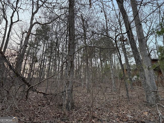 0 Luther Dr, Home with 0 bedrooms, 0 bathrooms and null parking in WEDOWEE AL | Image 6