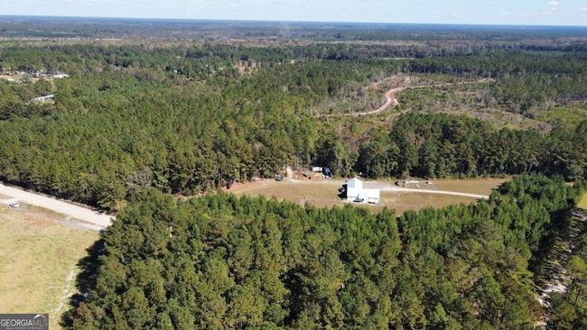 268-ACRES - 99 Old Happy Ln, Home with 0 bedrooms, 0 bathrooms and null parking in Brooklet GA | Image 6