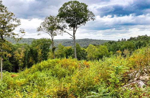 101 Lower Church Hill Rd, Washington Depot, CT, 06794-1708 | Card Image