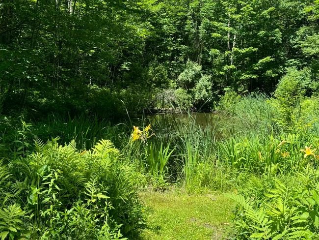 532 Potter Hill Rd, House other with 3 bedrooms, 1 bathrooms and null parking in Readsboro VT | Image 32