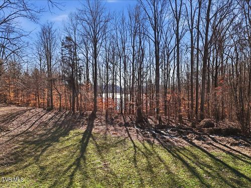 141 Red Cloud Ln, Rutledge, TN, 37861-2200 | Card Image