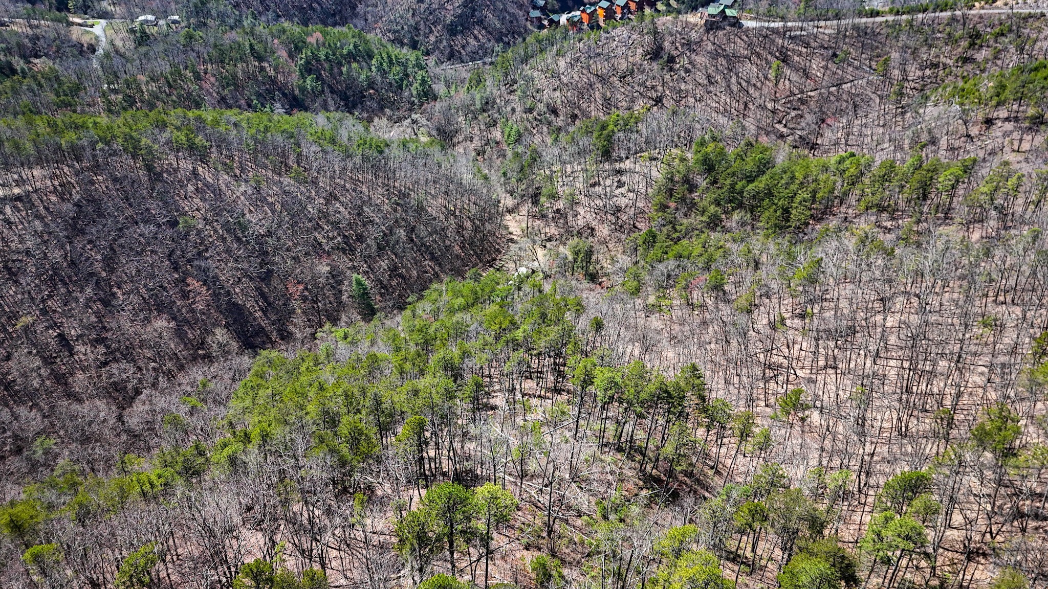 Land in Sevierville 5