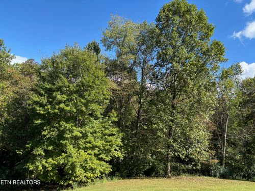 595 Ricky Dr, Talbott, TN, 37877 | Card Image