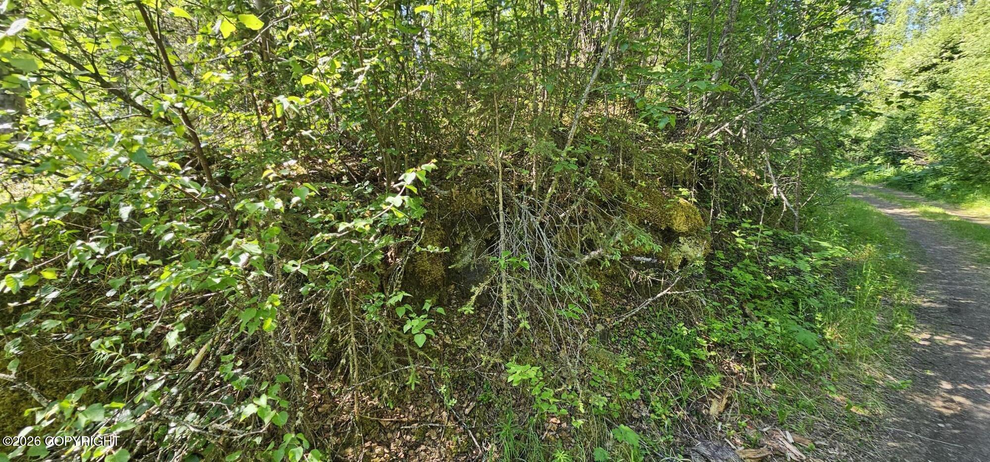 Land in Eagle River 2