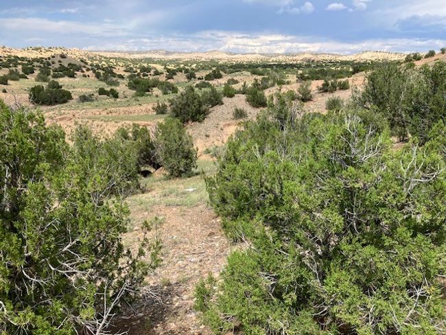 3 Private Drive 1613 B, Home with 0 bedrooms, 0 bathrooms and null parking in Medanales NM | Image 17